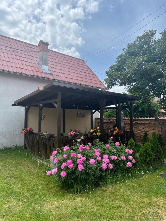 Silver House Rasnov Exterior foto
